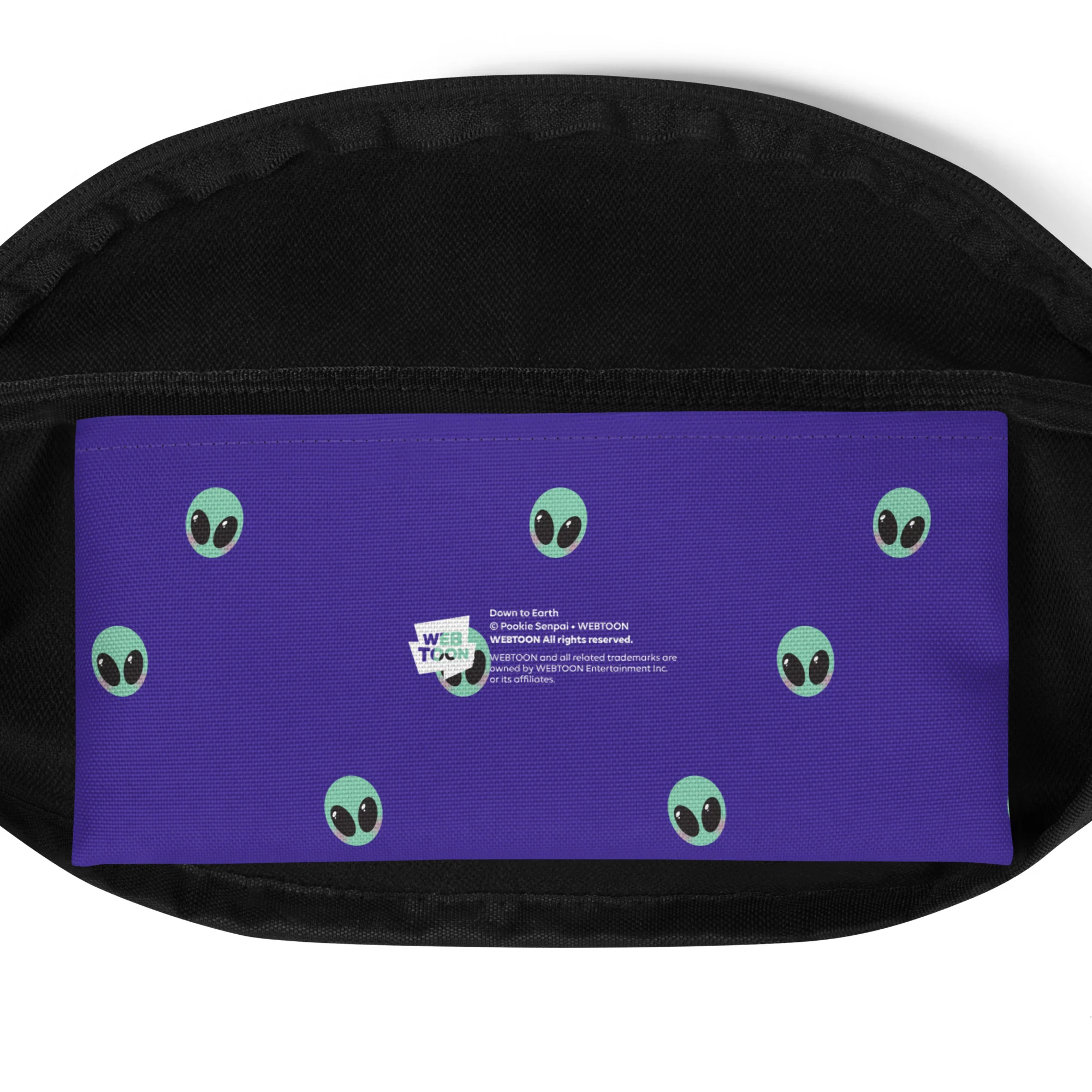 DOWN TO EARTH - FANNY PACK - Image 3