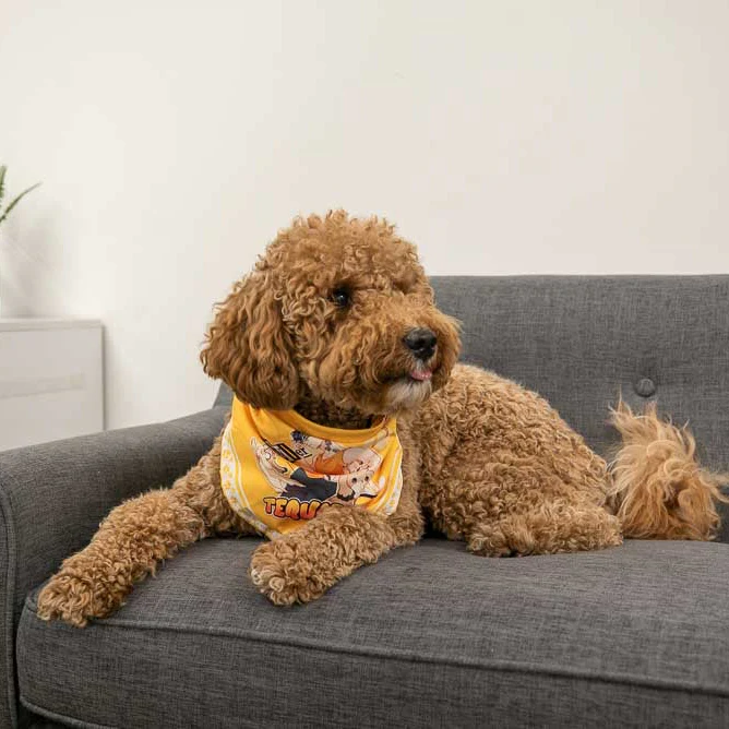 LOVE 4 A WALK - DOG BANDANA - Image 3